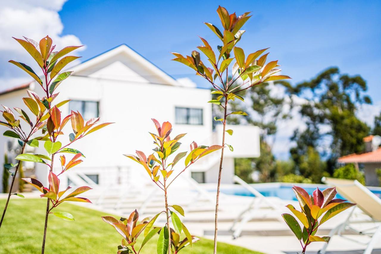 Vila Casas Da Padaria Celorico De Basto Exteriér fotografie